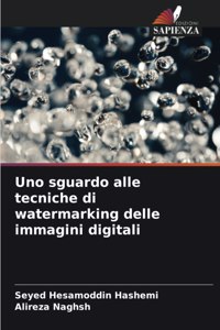 Uno sguardo alle tecniche di watermarking delle immagini digitali