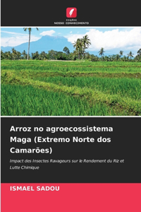 Arroz no agroecossistema Maga (Extremo Norte dos Camarões)