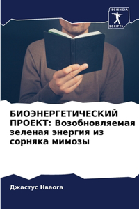 БИОЭНЕРГЕТИЧЕСКИЙ ПРОЕКТ