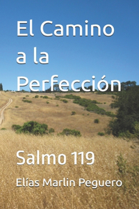 El Camino a la Perfección