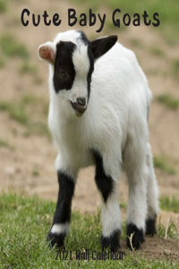 Cute Baby Goats 2021 Wall Calendar
