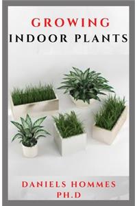 Growing Indoor Plants