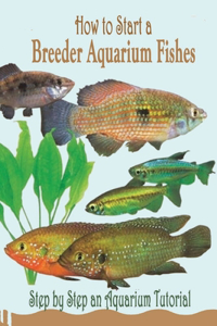 How to Start a Breeder Aquarium Fishes