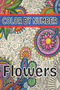 Color By Number Flowers