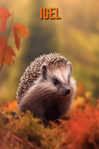 Igel