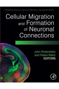 Cellular Migration and Formation of Neuronal Connections