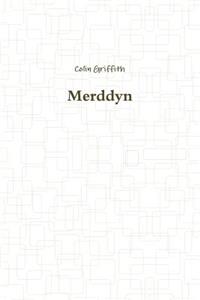 Merddyn