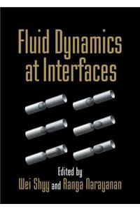 Fluid Dynamics at Interfaces