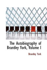 Autobiography of Brantley York, Volume I