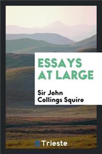 Essays at Large