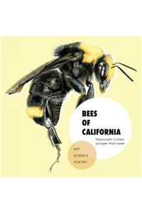 Bees of California