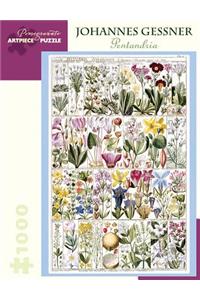 Johannes Gessner Pentandria 1000-Piece Jigsaw Puzzle