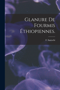 Glanure De Fourmis Éthiopiennes.