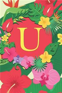 U