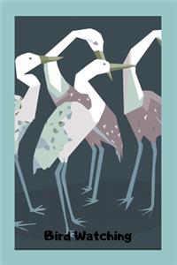 Bird Watching