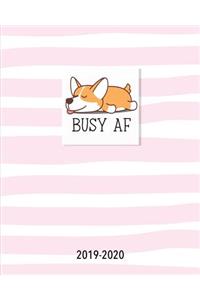 Busy AF 2019-2020