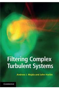 Filtering Complex Turbulent Systems