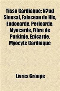 Tissu Cardiaque
