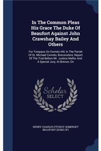 In The Common Pleas His Grace The Duke Of Beaufort Against John Crawshay Bailey And Others