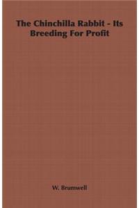 The Chinchilla Rabbit - Its Breeding For Profit