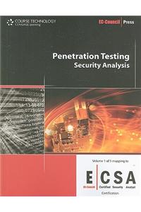 Penetration Testing: Security Analysis