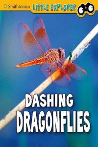 Dashing Dragonflies