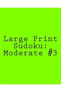Large Print Sudoku