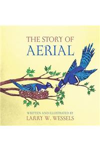Story of Aerial