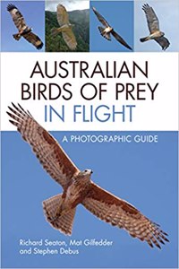 Australian Birds of Prey in Flight: A Photographic Guide