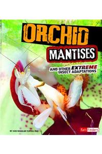 Orchid Mantises and Other Extreme Insect Adaptations