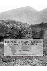 The Percha Mining District of Kingston New Mexico