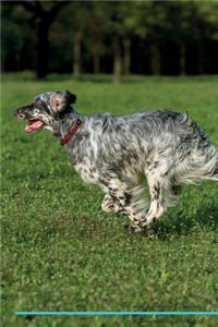 English Setter Affirmations Workbook English Setter Presents
