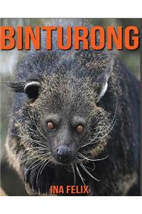 Binturong