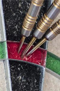 Darts in the Dartboard Close Up Game Journal