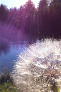 Cool Sunlit Fluffy White Dandelion Nature Journal