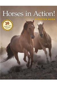 Horses in Action Poster Book