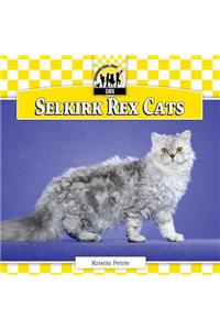 Selkirk Rex Cats