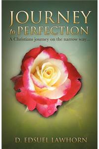 Journey to Perfection