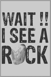 wait I see a rock