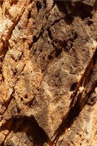 2020 Daily Planner Natural Rock Formation 388 Pages