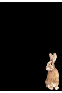 Rabbit Journal