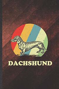 Dachshund