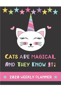 Cats Are Magical And They Know It! 2020 Weekly Planner