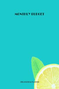 Monthly Budget Organizer & Planner