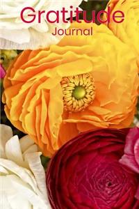 Gratitude Journal