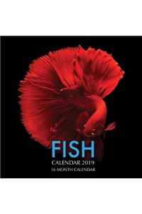 Fish Calendar 2019