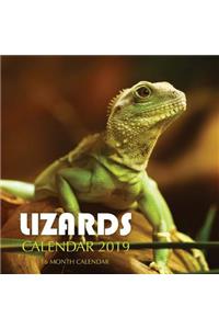 Lizards Calendar 2019