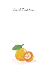 Santol Fruit Notes: 6"x9" Unruled Blank Notebook - Watercolor Texture Nature Fruit Illustration Cover. Matte Softcover And White Interior Papers.