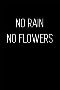 No Rain No Flowers