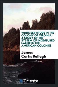 White Servitude in the Colony of Virginia